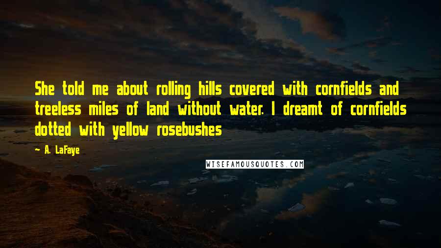 A. LaFaye Quotes: She told me about rolling hills covered with cornfields and treeless miles of land without water. I dreamt of cornfields dotted with yellow rosebushes