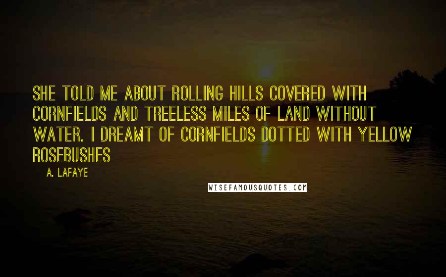 A. LaFaye Quotes: She told me about rolling hills covered with cornfields and treeless miles of land without water. I dreamt of cornfields dotted with yellow rosebushes