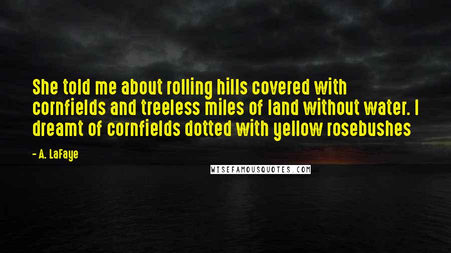 A. LaFaye Quotes: She told me about rolling hills covered with cornfields and treeless miles of land without water. I dreamt of cornfields dotted with yellow rosebushes
