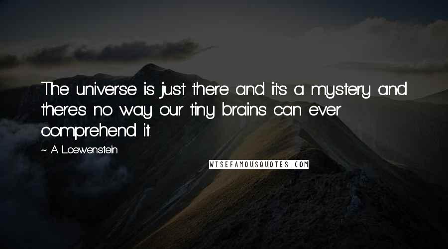 A Loewenstein Quotes: The universe is just there and it's a mystery and there's no way our tiny brains can ever comprehend it.