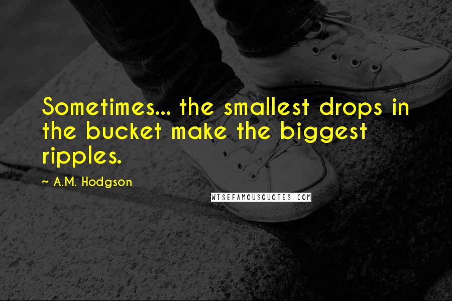 A.M. Hodgson Quotes: Sometimes... the smallest drops in the bucket make the biggest ripples.