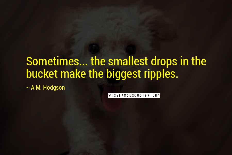 A.M. Hodgson Quotes: Sometimes... the smallest drops in the bucket make the biggest ripples.