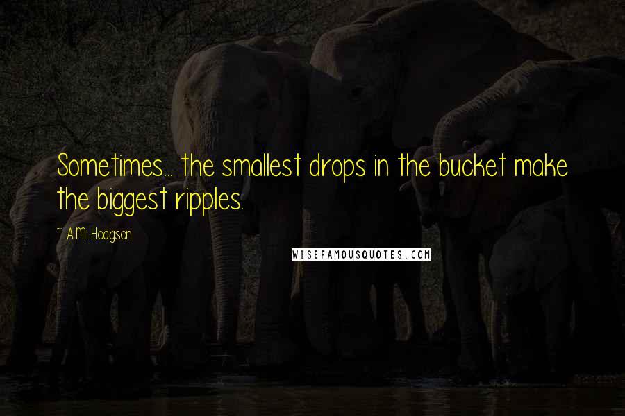 A.M. Hodgson Quotes: Sometimes... the smallest drops in the bucket make the biggest ripples.