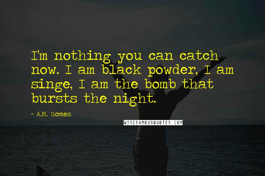 A.M. Homes Quotes: I'm nothing you can catch now. I am black powder, I am singe, I am the bomb that bursts the night.