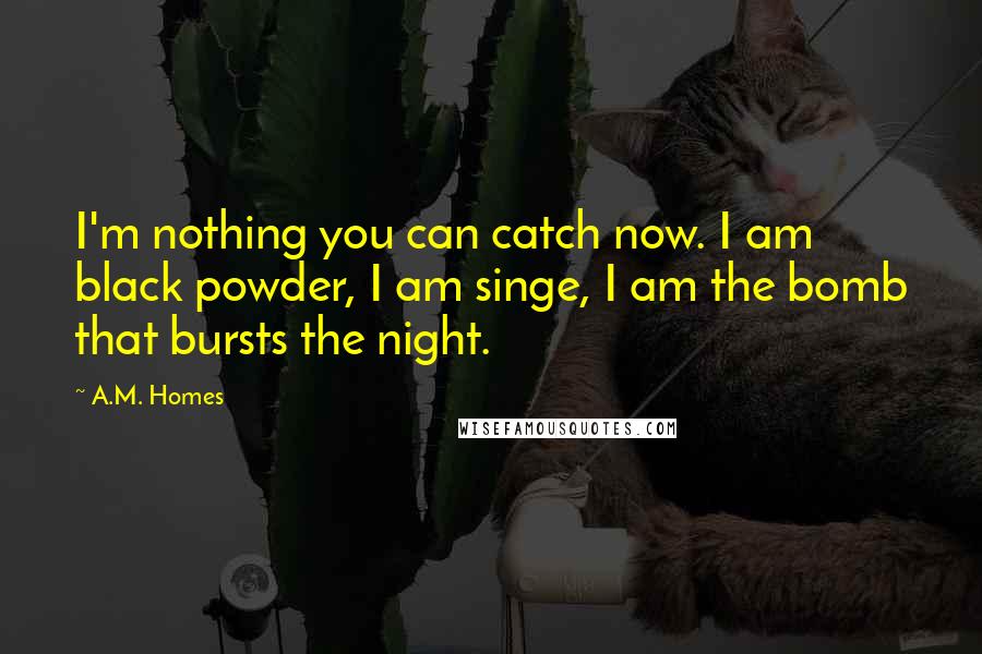 A.M. Homes Quotes: I'm nothing you can catch now. I am black powder, I am singe, I am the bomb that bursts the night.