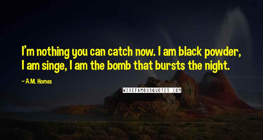 A.M. Homes Quotes: I'm nothing you can catch now. I am black powder, I am singe, I am the bomb that bursts the night.