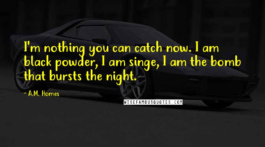 A.M. Homes Quotes: I'm nothing you can catch now. I am black powder, I am singe, I am the bomb that bursts the night.