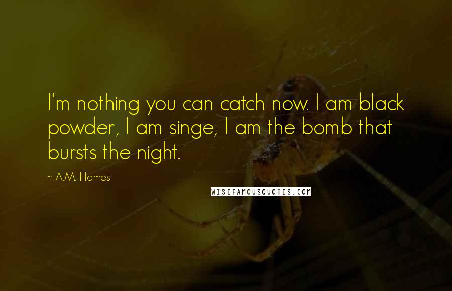 A.M. Homes Quotes: I'm nothing you can catch now. I am black powder, I am singe, I am the bomb that bursts the night.