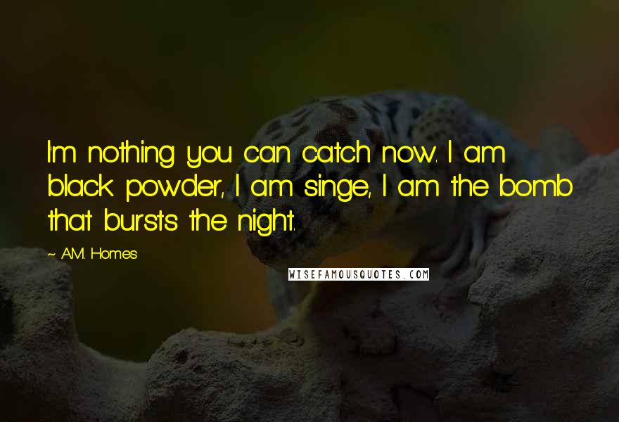 A.M. Homes Quotes: I'm nothing you can catch now. I am black powder, I am singe, I am the bomb that bursts the night.