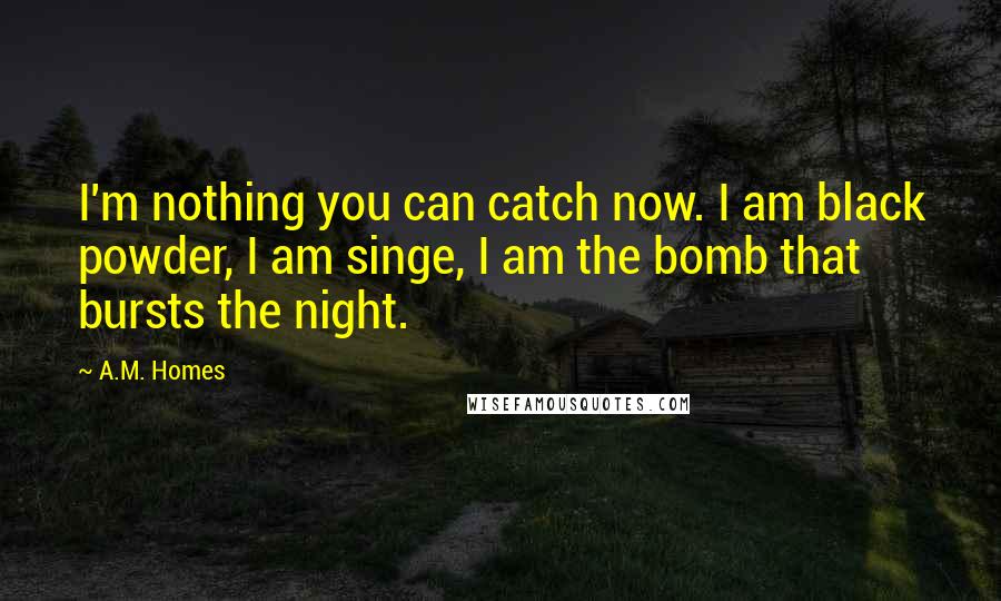 A.M. Homes Quotes: I'm nothing you can catch now. I am black powder, I am singe, I am the bomb that bursts the night.