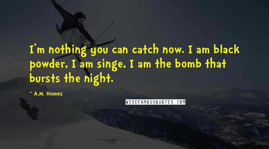 A.M. Homes Quotes: I'm nothing you can catch now. I am black powder, I am singe, I am the bomb that bursts the night.