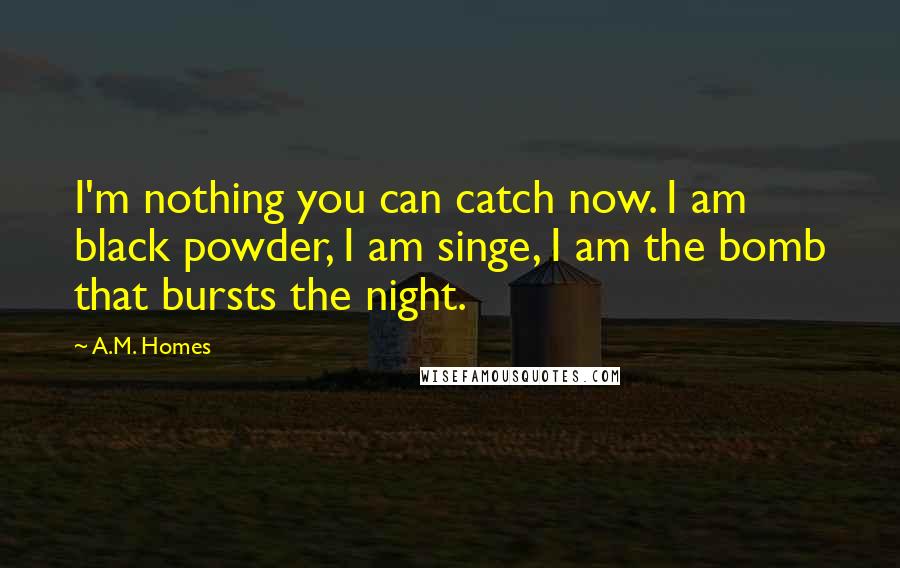 A.M. Homes Quotes: I'm nothing you can catch now. I am black powder, I am singe, I am the bomb that bursts the night.
