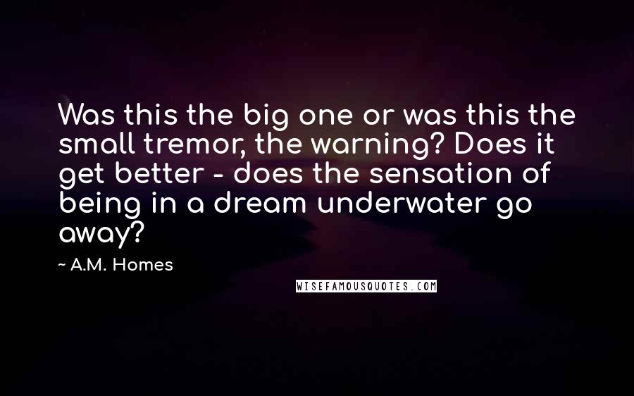 A.M. Homes Quotes: Was this the big one or was this the small tremor, the warning? Does it get better - does the sensation of being in a dream underwater go away?