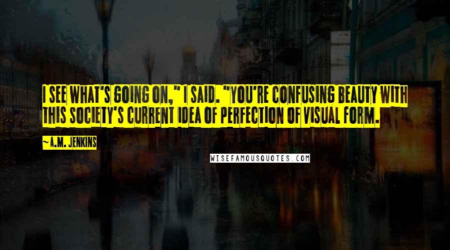 A.M. Jenkins Quotes: I see what's going on," I said. "You're confusing beauty with this society's current idea of perfection of visual form.