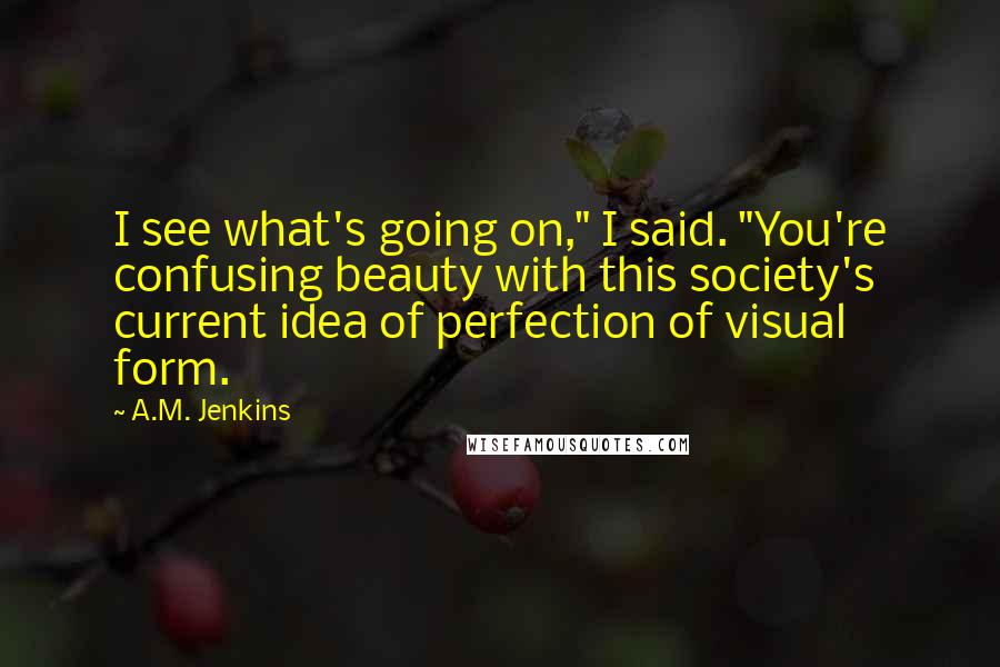 A.M. Jenkins Quotes: I see what's going on," I said. "You're confusing beauty with this society's current idea of perfection of visual form.