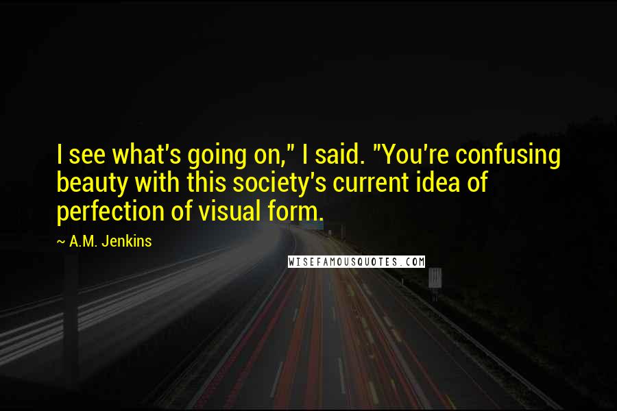 A.M. Jenkins Quotes: I see what's going on," I said. "You're confusing beauty with this society's current idea of perfection of visual form.