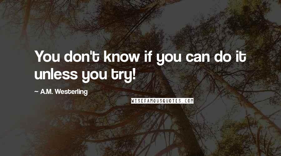 A.M. Westerling Quotes: You don't know if you can do it unless you try!