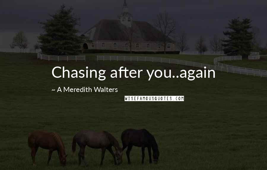 A Meredith Walters Quotes: Chasing after you..again