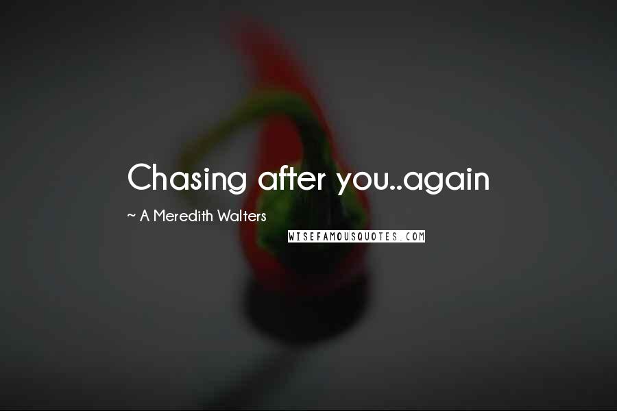 A Meredith Walters Quotes: Chasing after you..again