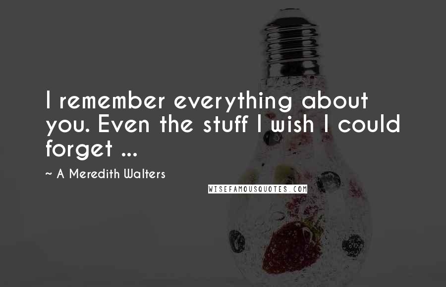 A Meredith Walters Quotes: I remember everything about you. Even the stuff I wish I could forget ...