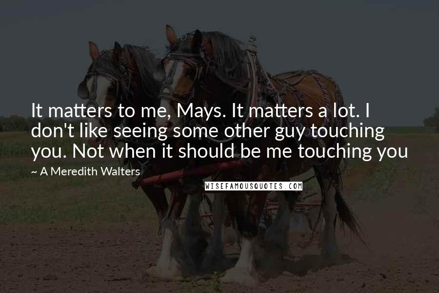 A Meredith Walters Quotes: It matters to me, Mays. It matters a lot. I don't like seeing some other guy touching you. Not when it should be me touching you