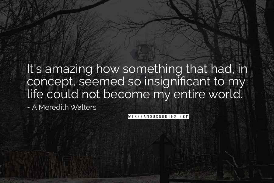 A Meredith Walters Quotes: It's amazing how something that had, in concept, seemed so insignificant to my life could not become my entire world.