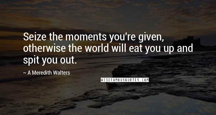 A Meredith Walters Quotes: Seize the moments you're given, otherwise the world will eat you up and spit you out.