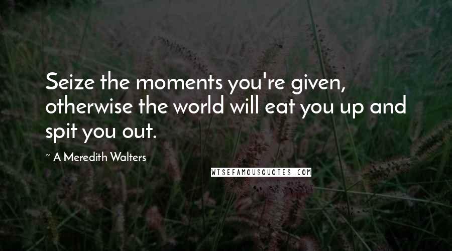 A Meredith Walters Quotes: Seize the moments you're given, otherwise the world will eat you up and spit you out.
