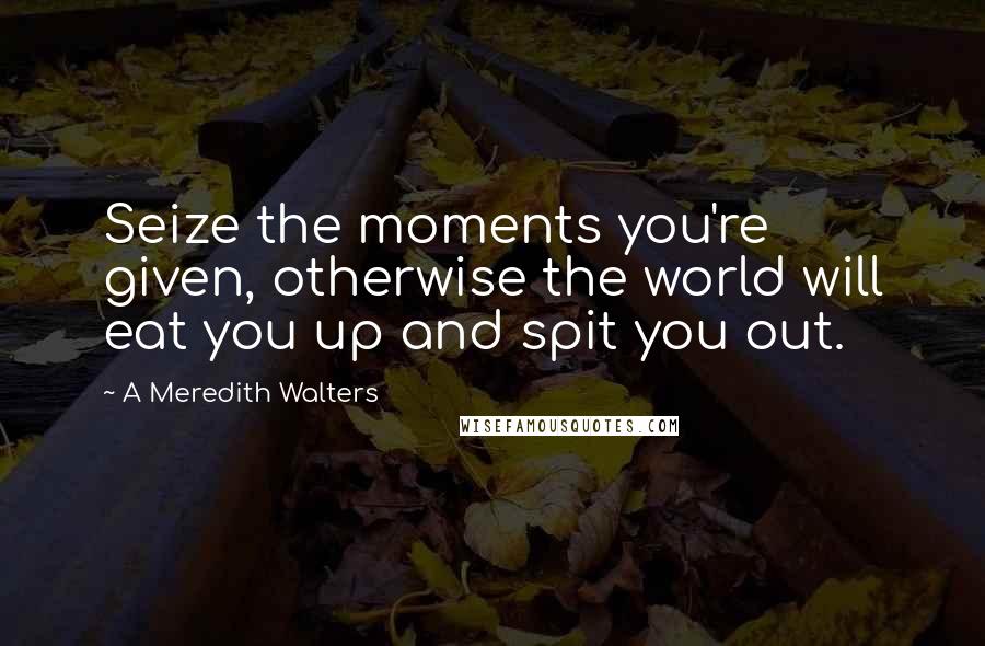 A Meredith Walters Quotes: Seize the moments you're given, otherwise the world will eat you up and spit you out.