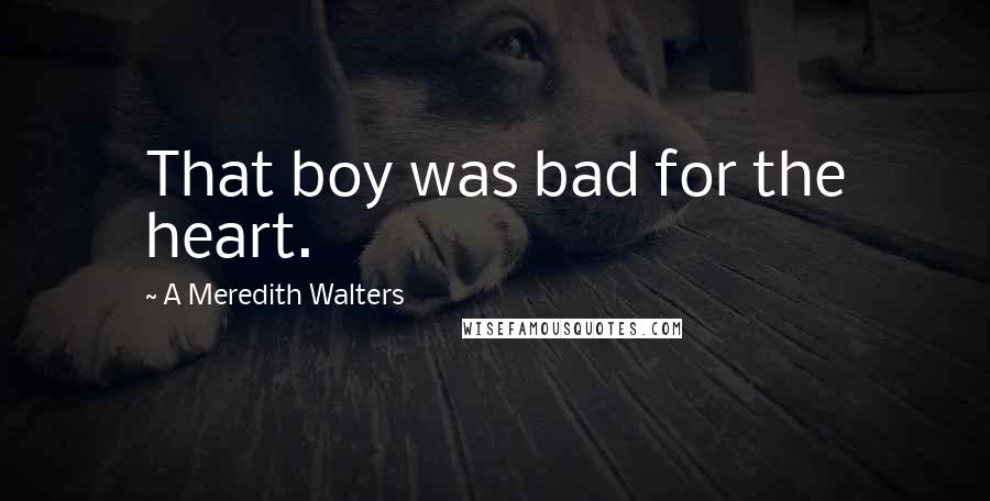 A Meredith Walters Quotes: That boy was bad for the heart.