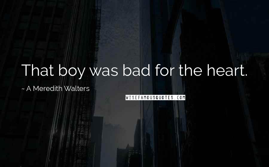 A Meredith Walters Quotes: That boy was bad for the heart.