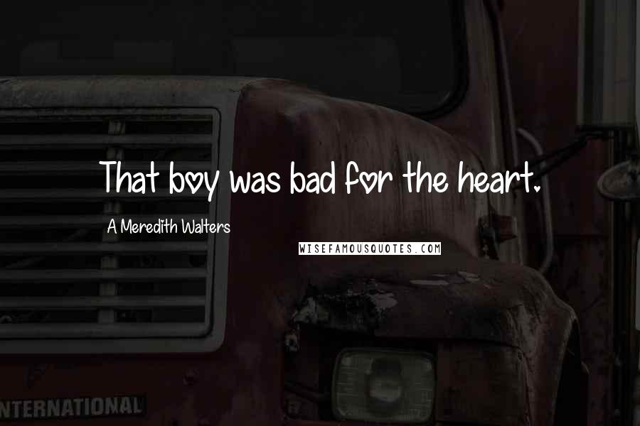 A Meredith Walters Quotes: That boy was bad for the heart.