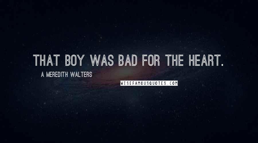 A Meredith Walters Quotes: That boy was bad for the heart.