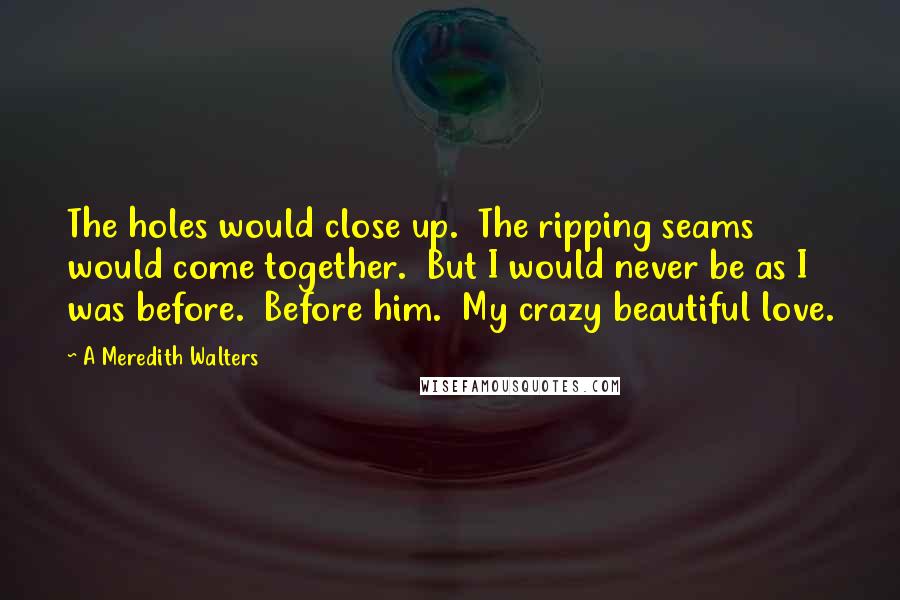 A Meredith Walters Quotes: The holes would close up. The ripping seams would come together. But I would never be as I was before. Before him. My crazy beautiful love.
