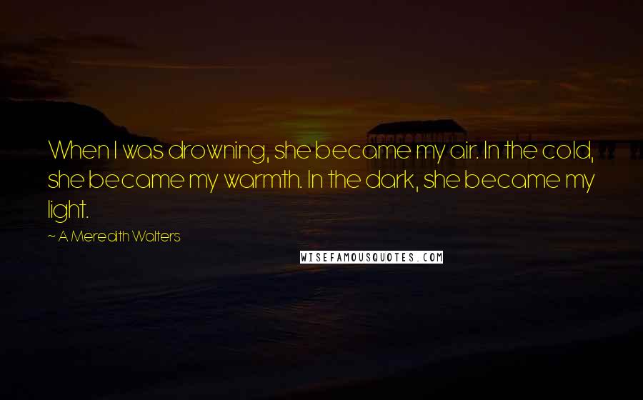 A Meredith Walters Quotes: When I was drowning, she became my air. In the cold, she became my warmth. In the dark, she became my light.