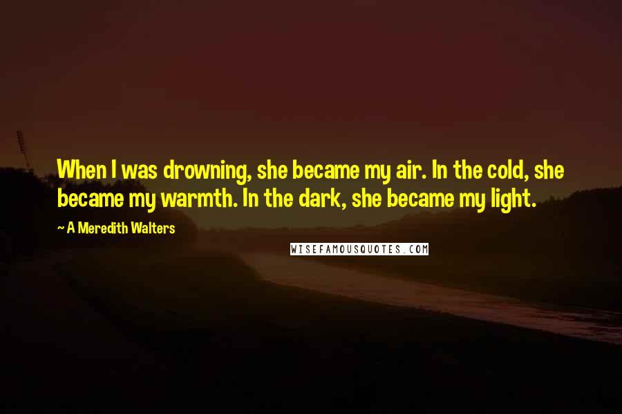 A Meredith Walters Quotes: When I was drowning, she became my air. In the cold, she became my warmth. In the dark, she became my light.