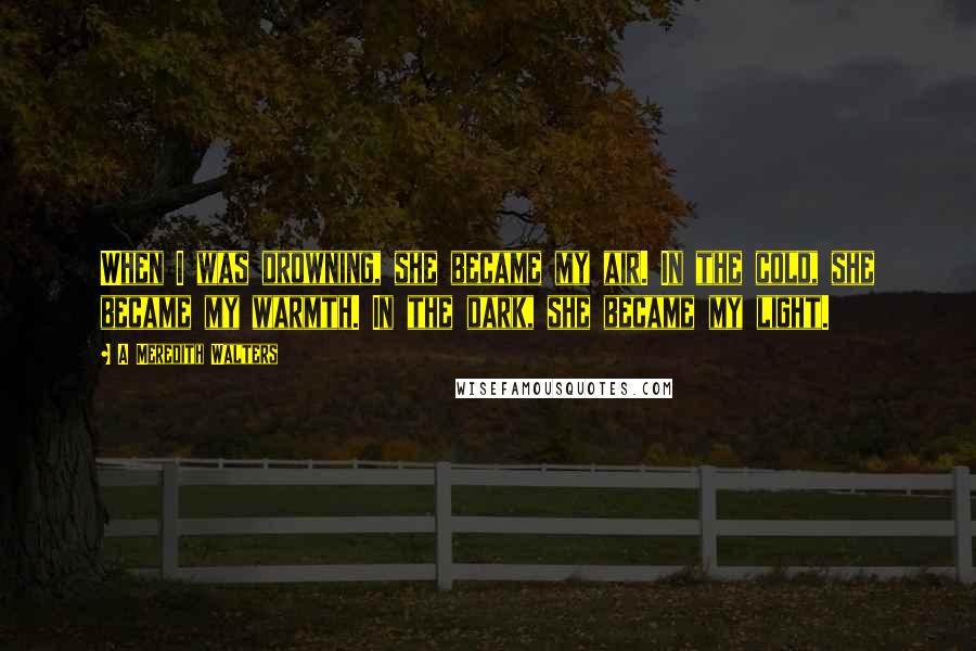 A Meredith Walters Quotes: When I was drowning, she became my air. In the cold, she became my warmth. In the dark, she became my light.