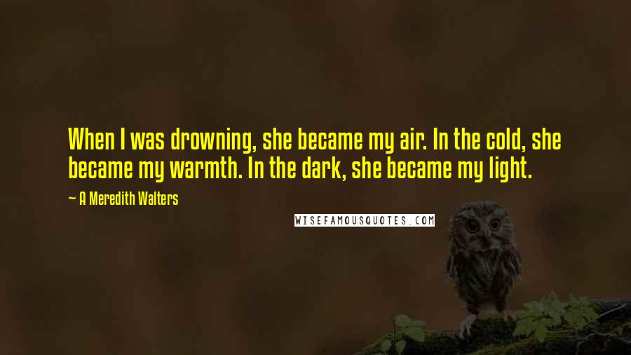 A Meredith Walters Quotes: When I was drowning, she became my air. In the cold, she became my warmth. In the dark, she became my light.