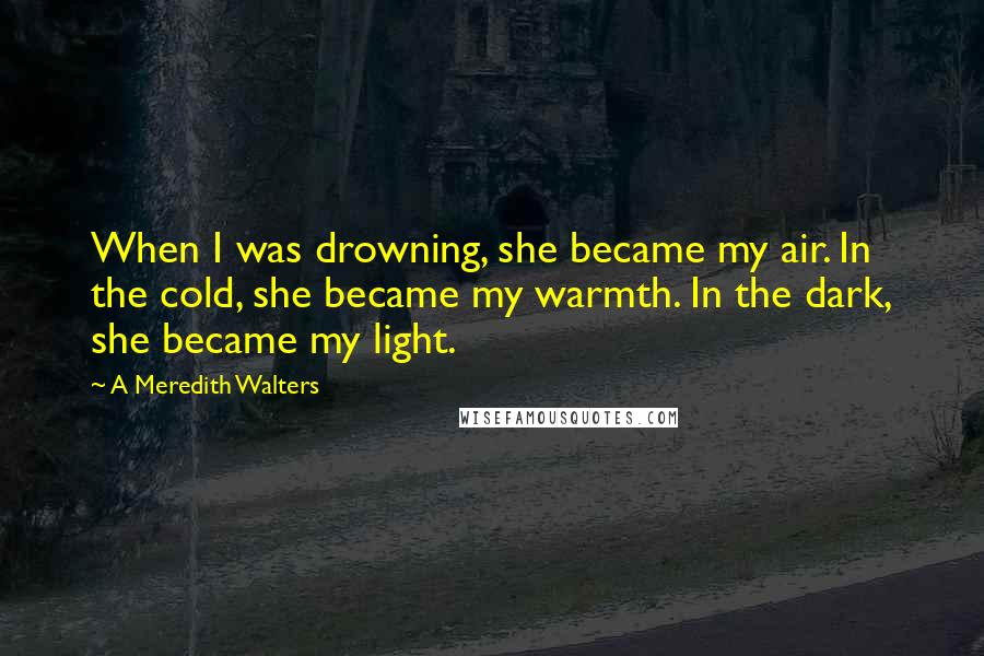 A Meredith Walters Quotes: When I was drowning, she became my air. In the cold, she became my warmth. In the dark, she became my light.