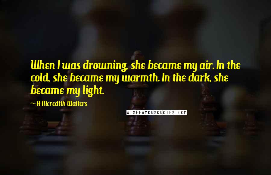 A Meredith Walters Quotes: When I was drowning, she became my air. In the cold, she became my warmth. In the dark, she became my light.
