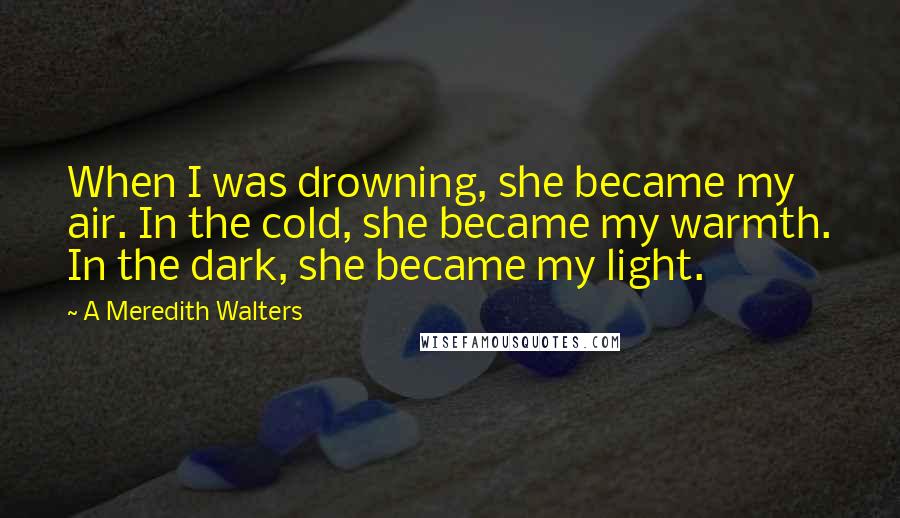 A Meredith Walters Quotes: When I was drowning, she became my air. In the cold, she became my warmth. In the dark, she became my light.