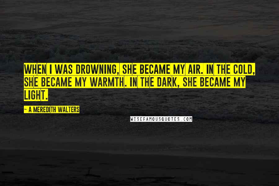 A Meredith Walters Quotes: When I was drowning, she became my air. In the cold, she became my warmth. In the dark, she became my light.
