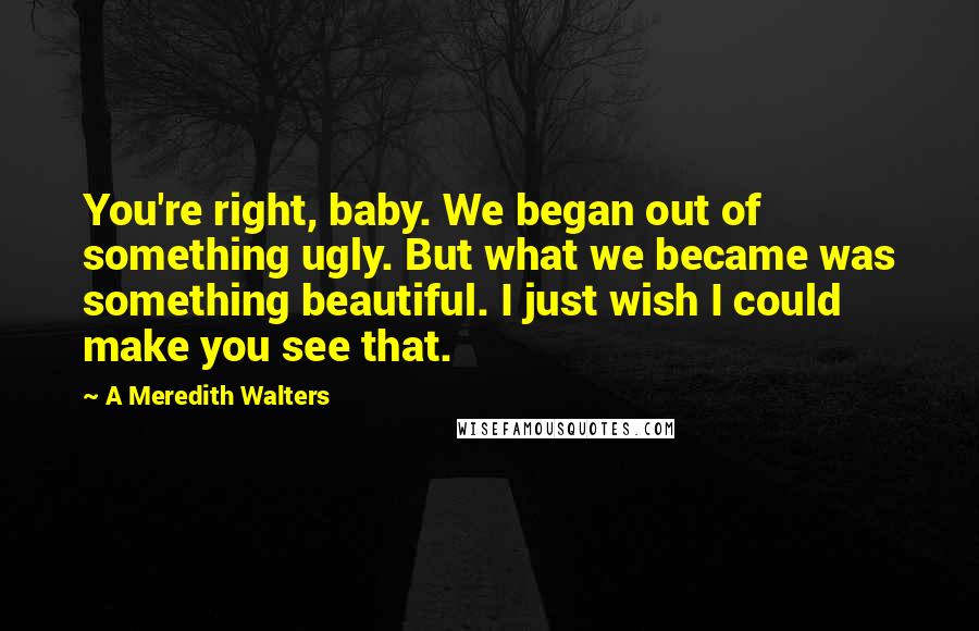 A Meredith Walters Quotes: You're right, baby. We began out of something ugly. But what we became was something beautiful. I just wish I could make you see that.
