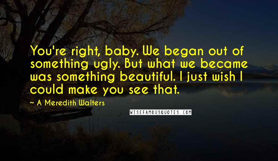 A Meredith Walters Quotes: You're right, baby. We began out of something ugly. But what we became was something beautiful. I just wish I could make you see that.