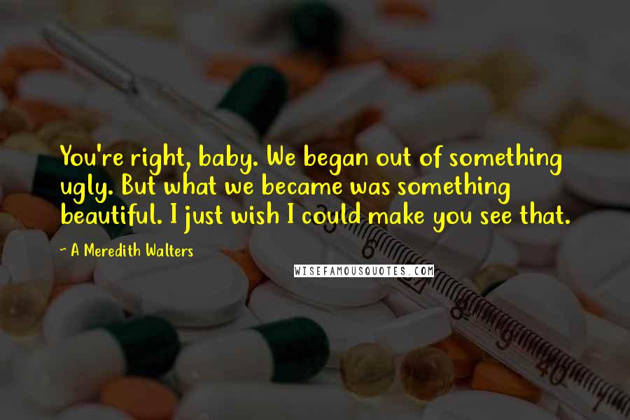 A Meredith Walters Quotes: You're right, baby. We began out of something ugly. But what we became was something beautiful. I just wish I could make you see that.