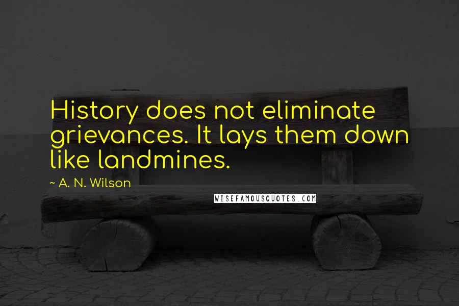 A. N. Wilson Quotes: History does not eliminate grievances. It lays them down like landmines.