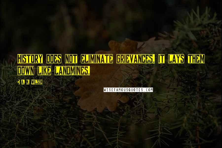 A. N. Wilson Quotes: History does not eliminate grievances. It lays them down like landmines.