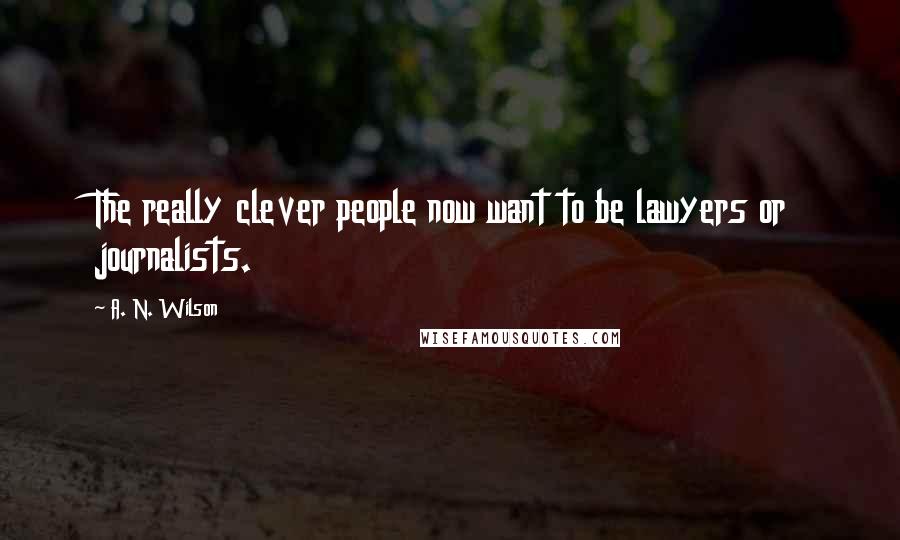 A. N. Wilson Quotes: The really clever people now want to be lawyers or journalists.