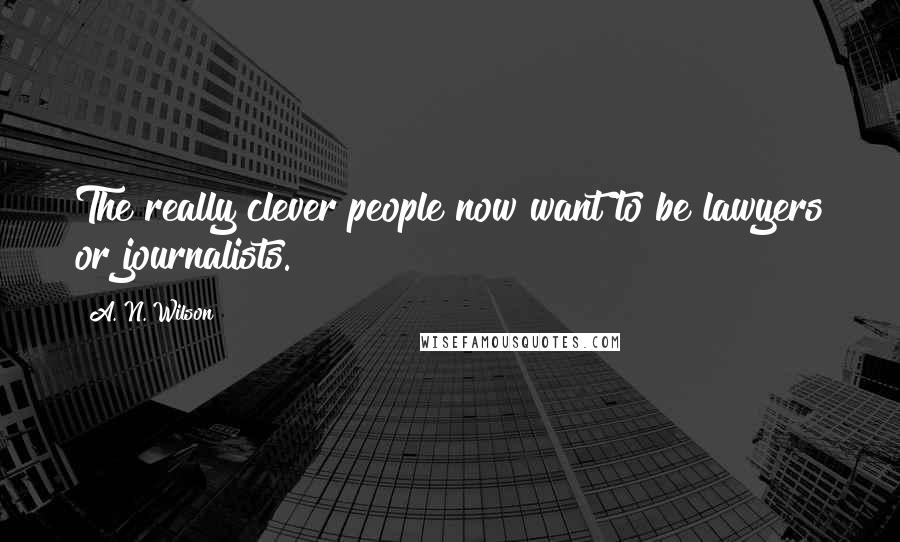 A. N. Wilson Quotes: The really clever people now want to be lawyers or journalists.