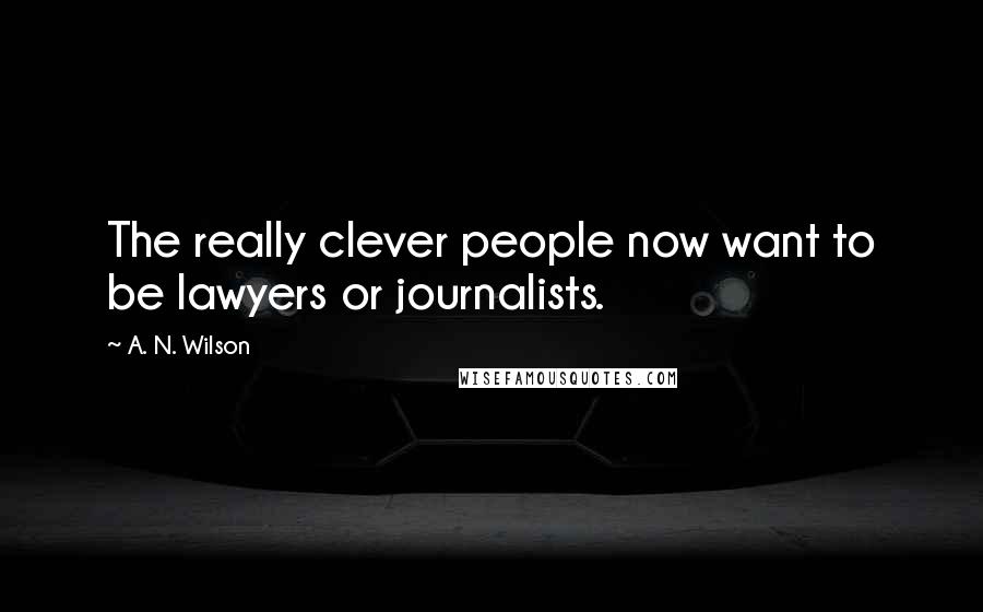 A. N. Wilson Quotes: The really clever people now want to be lawyers or journalists.
